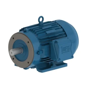 Motor trifasico Weg 2 velocidades
