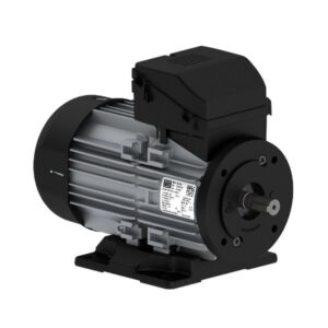 Motor trifasico w12