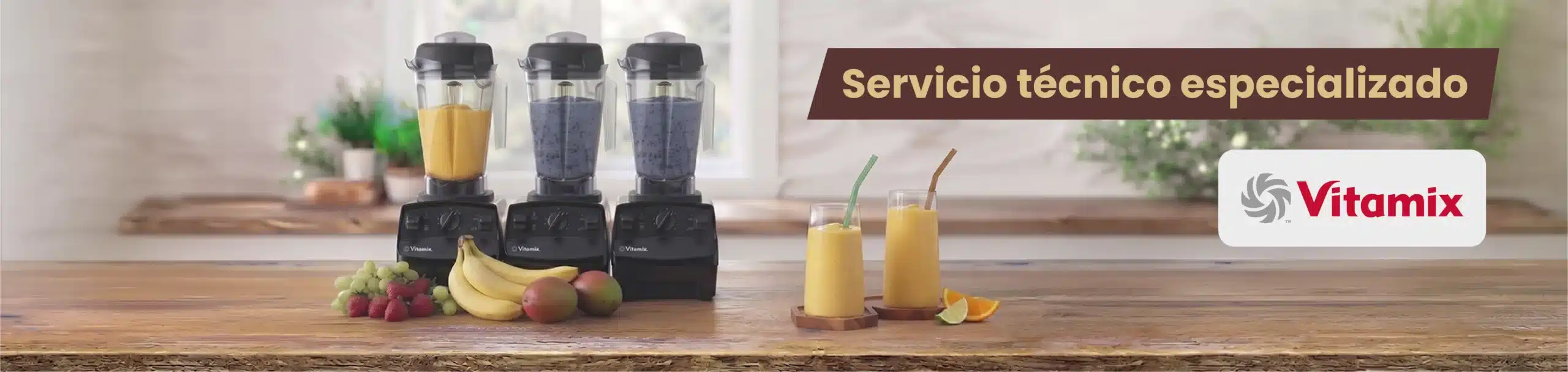 Servicio técnico vitamix